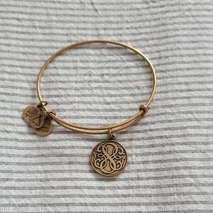 Alex and Ani Charm Bangle